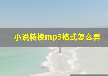 小说转换mp3格式怎么弄