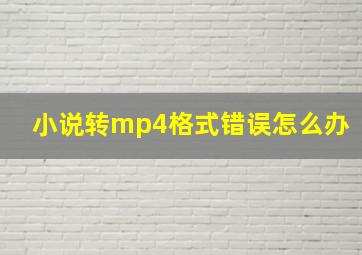 小说转mp4格式错误怎么办