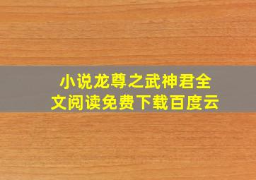 小说龙尊之武神君全文阅读免费下载百度云