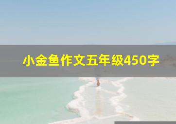 小金鱼作文五年级450字