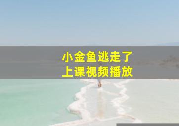 小金鱼逃走了上课视频播放