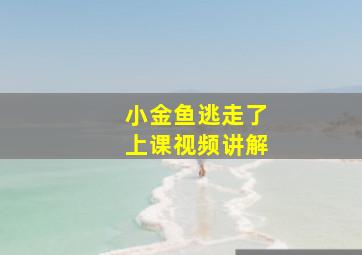 小金鱼逃走了上课视频讲解