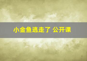 小金鱼逃走了 公开课