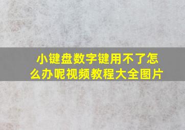 小键盘数字键用不了怎么办呢视频教程大全图片