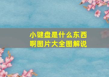 小键盘是什么东西啊图片大全图解说