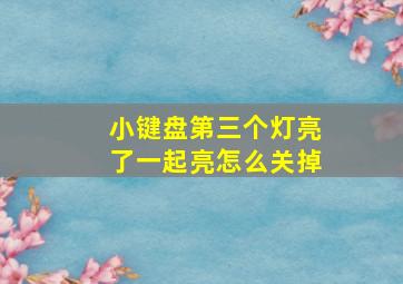 小键盘第三个灯亮了一起亮怎么关掉