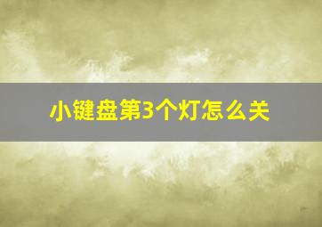 小键盘第3个灯怎么关