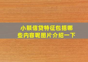 小额信贷特征包括哪些内容呢图片介绍一下