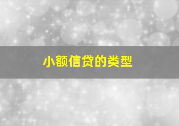 小额信贷的类型