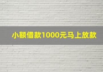 小额借款1000元马上放款