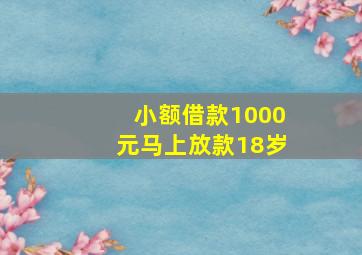 小额借款1000元马上放款18岁