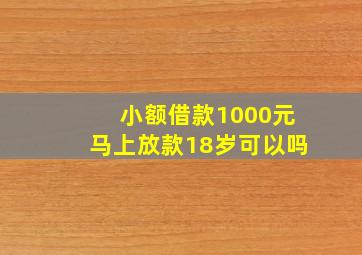 小额借款1000元马上放款18岁可以吗