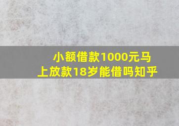 小额借款1000元马上放款18岁能借吗知乎