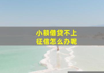 小额借贷不上征信怎么办呢