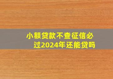 小额贷款不查征信必过2024年还能贷吗