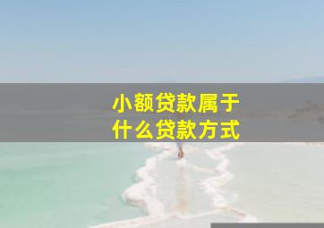 小额贷款属于什么贷款方式