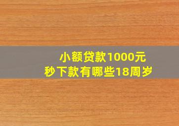 小额贷款1000元秒下款有哪些18周岁