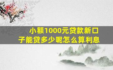 小额1000元贷款新口子能贷多少呢怎么算利息