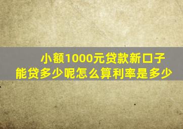 小额1000元贷款新口子能贷多少呢怎么算利率是多少