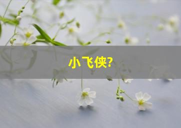 小飞侠?