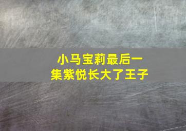 小马宝莉最后一集紫悦长大了王子