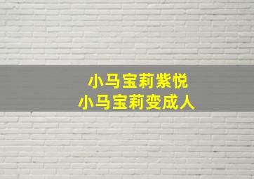 小马宝莉紫悦小马宝莉变成人