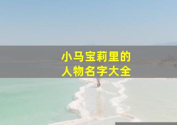 小马宝莉里的人物名字大全