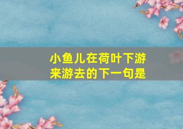 小鱼儿在荷叶下游来游去的下一句是