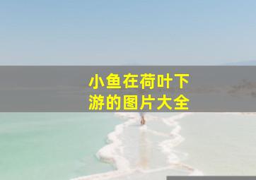 小鱼在荷叶下游的图片大全