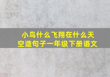 小鸟什么飞翔在什么天空造句子一年级下册语文