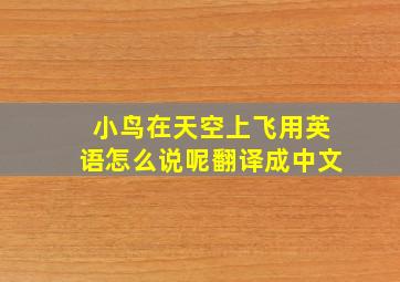 小鸟在天空上飞用英语怎么说呢翻译成中文