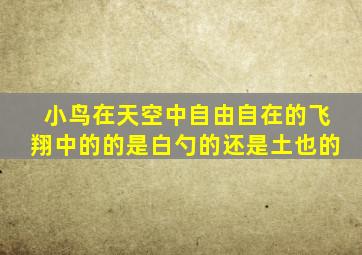 小鸟在天空中自由自在的飞翔中的的是白勺的还是土也的