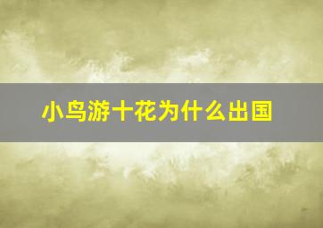 小鸟游十花为什么出国