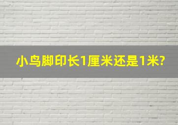 小鸟脚印长1厘米还是1米?