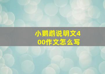 小鹦鹉说明文400作文怎么写