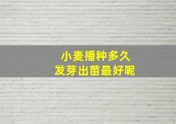 小麦播种多久发芽出苗最好呢