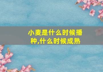 小麦是什么时候播种,什么时候成熟