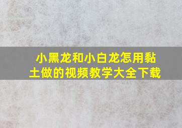 小黑龙和小白龙怎用黏土做的视频教学大全下载