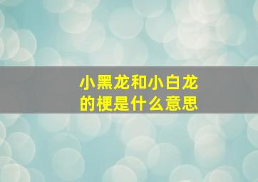 小黑龙和小白龙的梗是什么意思