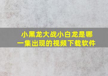 小黑龙大战小白龙是哪一集出现的视频下载软件