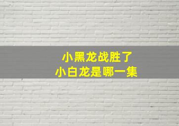 小黑龙战胜了小白龙是哪一集