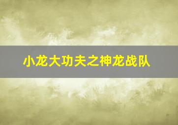 小龙大功夫之神龙战队