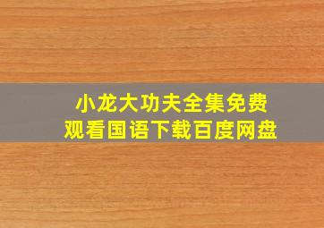 小龙大功夫全集免费观看国语下载百度网盘