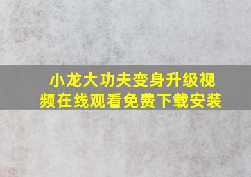 小龙大功夫变身升级视频在线观看免费下载安装