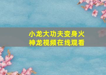 小龙大功夫变身火神龙视频在线观看