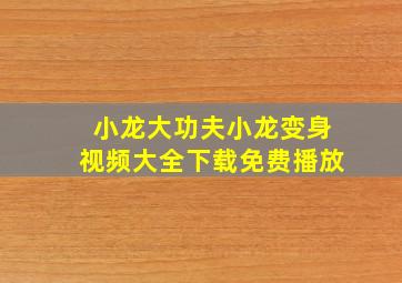 小龙大功夫小龙变身视频大全下载免费播放