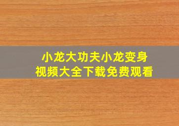 小龙大功夫小龙变身视频大全下载免费观看