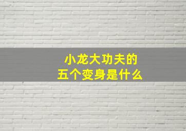 小龙大功夫的五个变身是什么