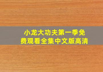 小龙大功夫第一季免费观看全集中文版高清