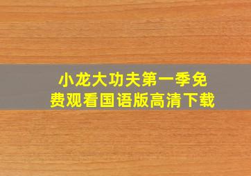 小龙大功夫第一季免费观看国语版高清下载